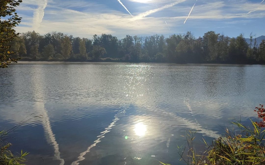 Bürgerinitiative Happinger See startet Petition