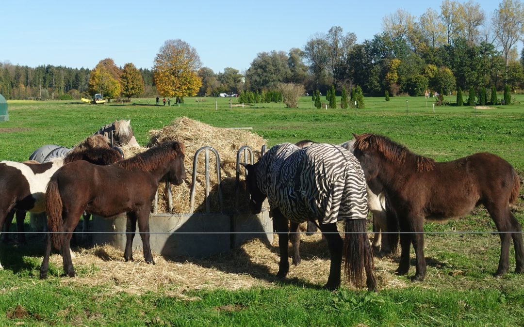 Noch mal ein sommerlicher Herbsttag