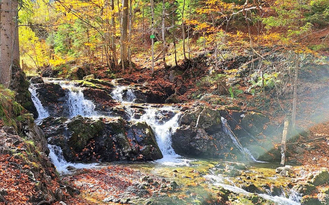 Spaziergang zu Josefstaler Wasserfall