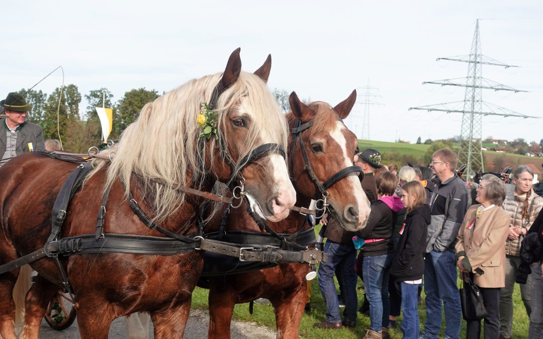 Prachtvoller Höhepunkt des Bauernjahres