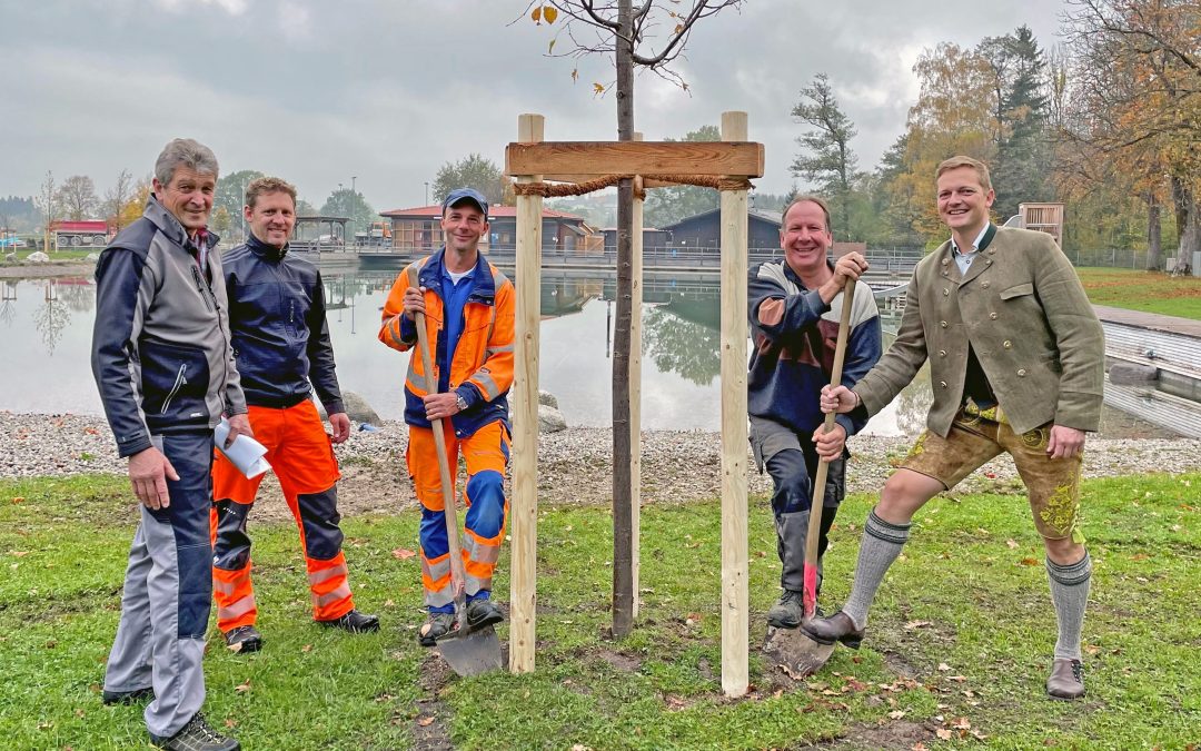 Neue Schattenspender am Badeplatz