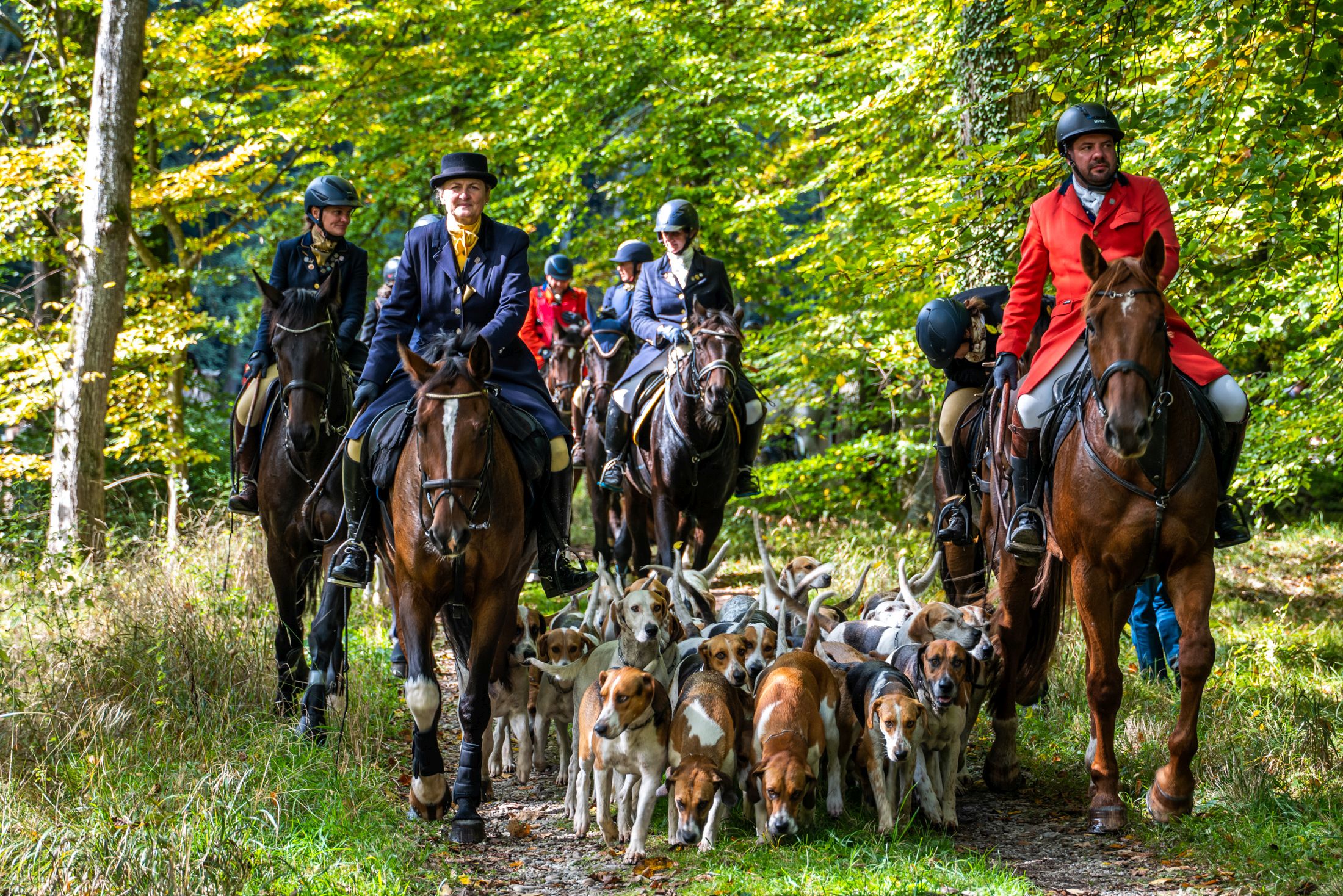 Reiter mit Hundemeute im Wald