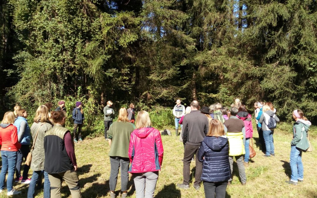 Immer mehr Frauen sind Waldbesitzerinnen