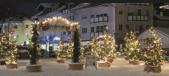 Weihnachtliches Wendelsteinpark mit vielen geschmueckten Christbaeumen