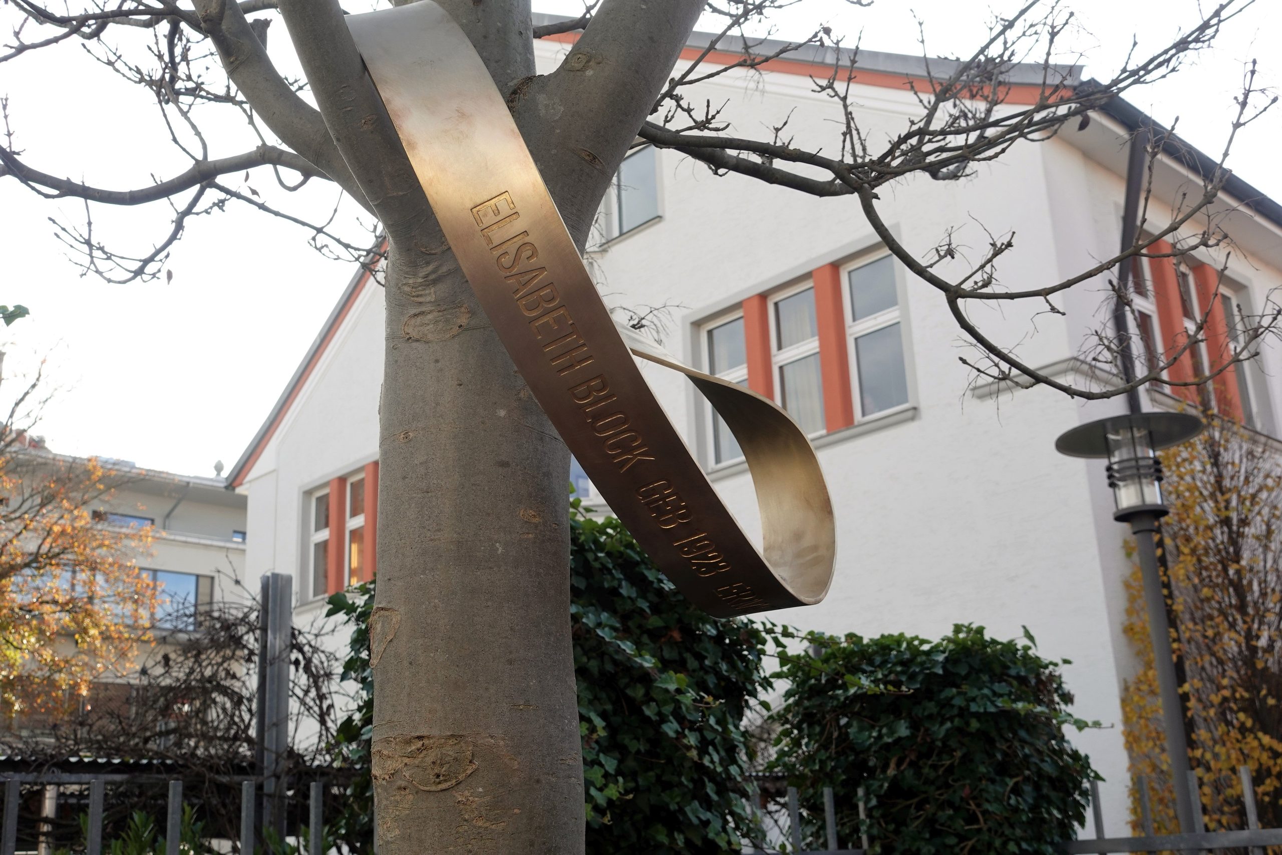 Die Erinnerungsschleife in Rosenheim in einem Baum
