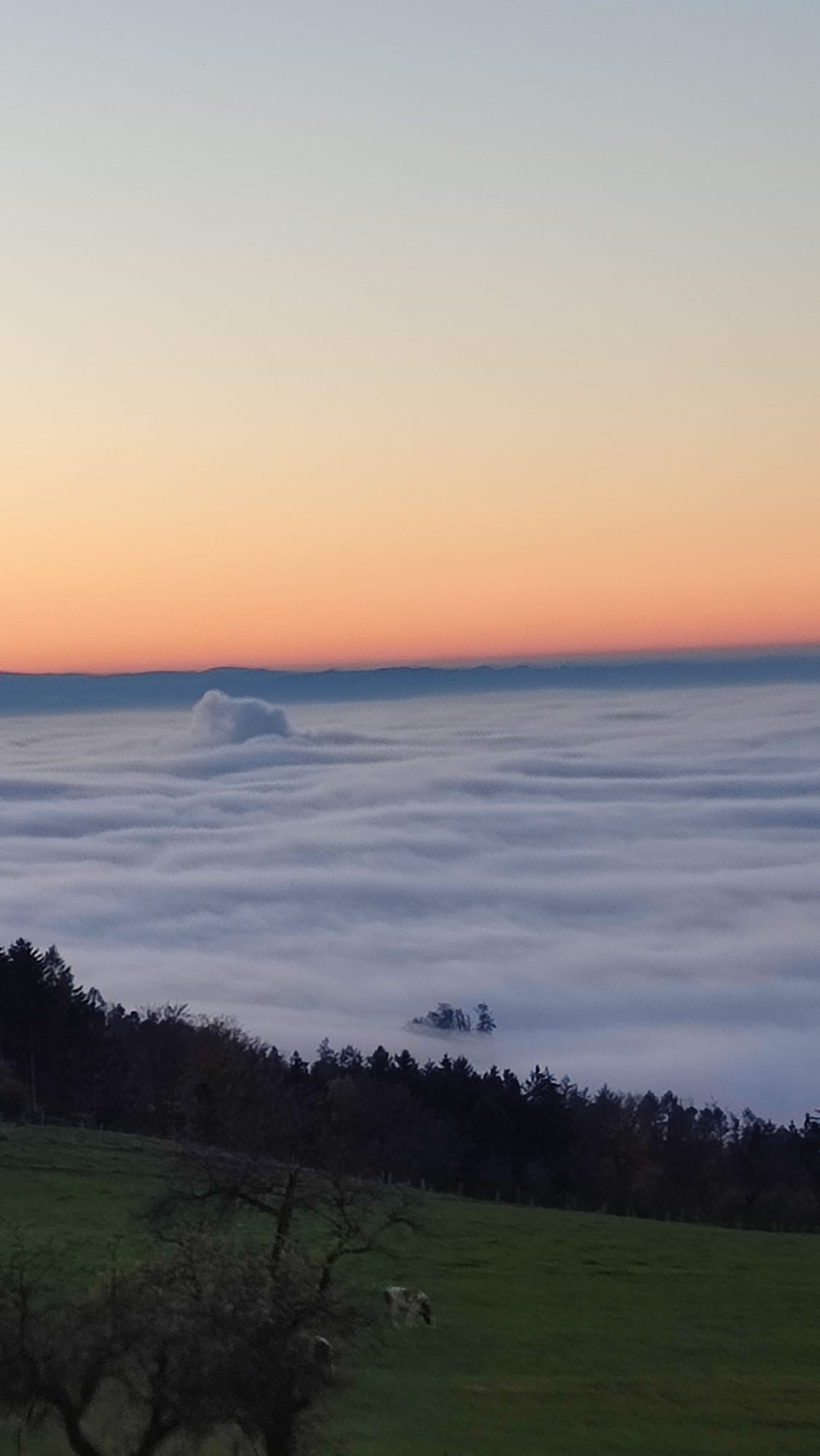 Blick vom Samerberg auf Nebel