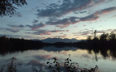 MorgenINNPULS – Schon gewusst?