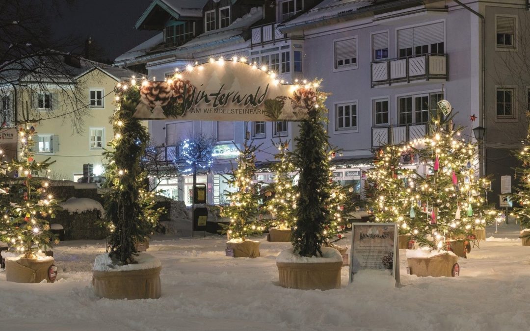 Winterwald am Wendelsteinpark