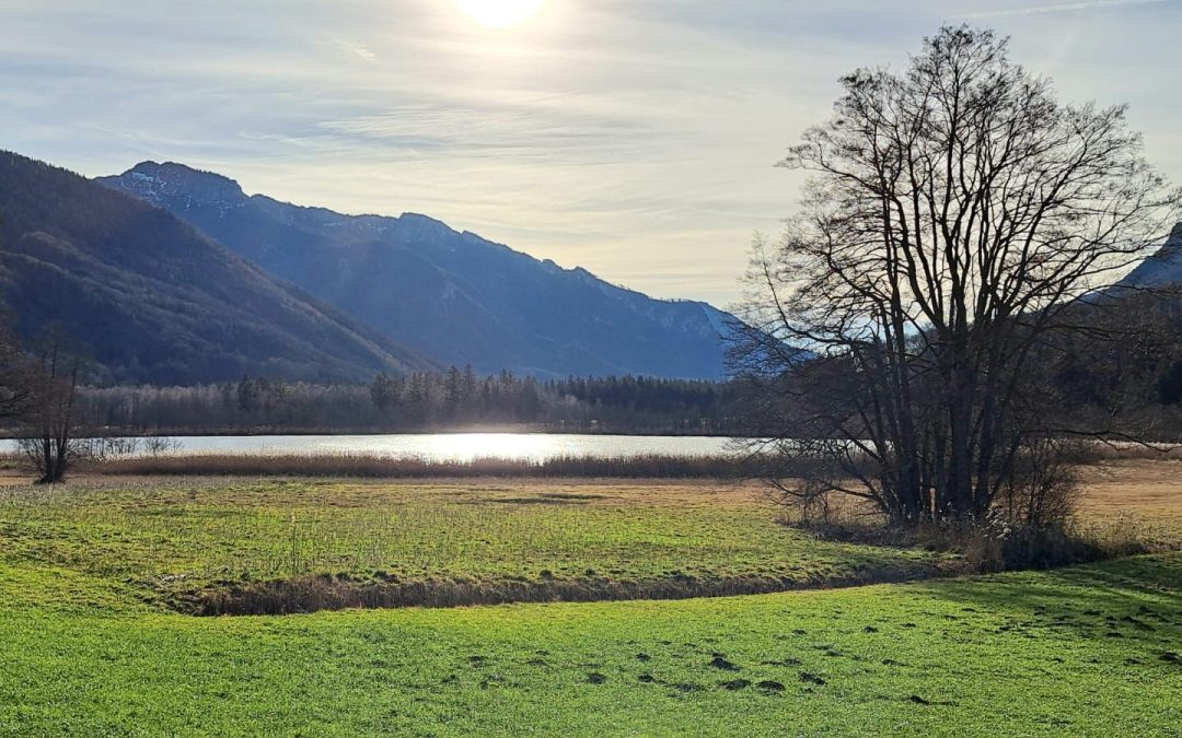 Ausflugstipp: Bärnsee-Rundweg