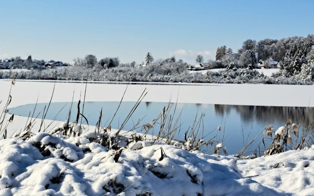 Dünnes Eis: Wasserwacht warnt