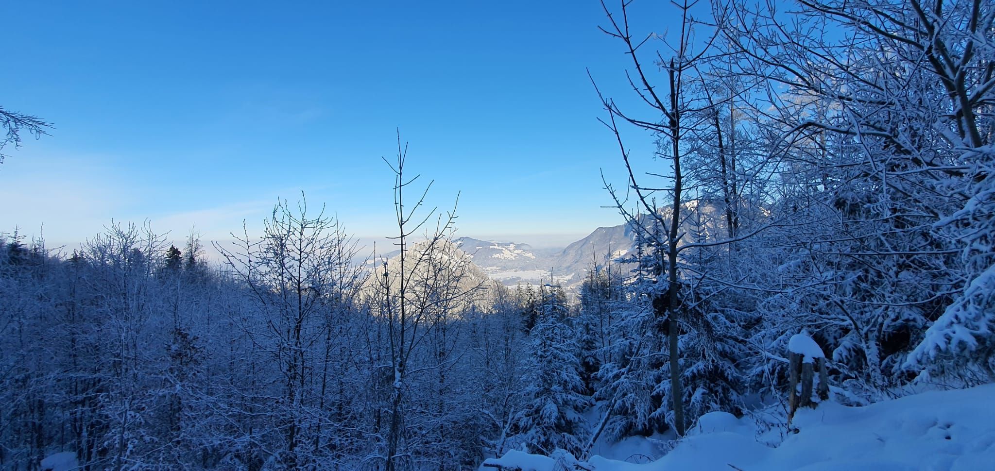 Ausblick über die schneebedeckte Landschaft mit blauem Himmel