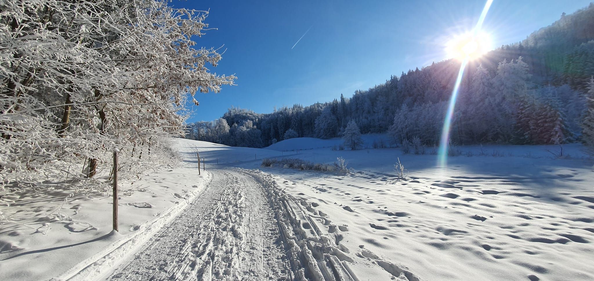 Blick auf Rodelweg durch schneebedeckte Landschaft im Inntal im Landkreis Rosenheim