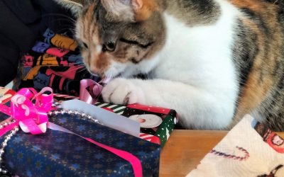 Adventsmarkt und Tag der offenen Tür im Tierheim Rosenheim