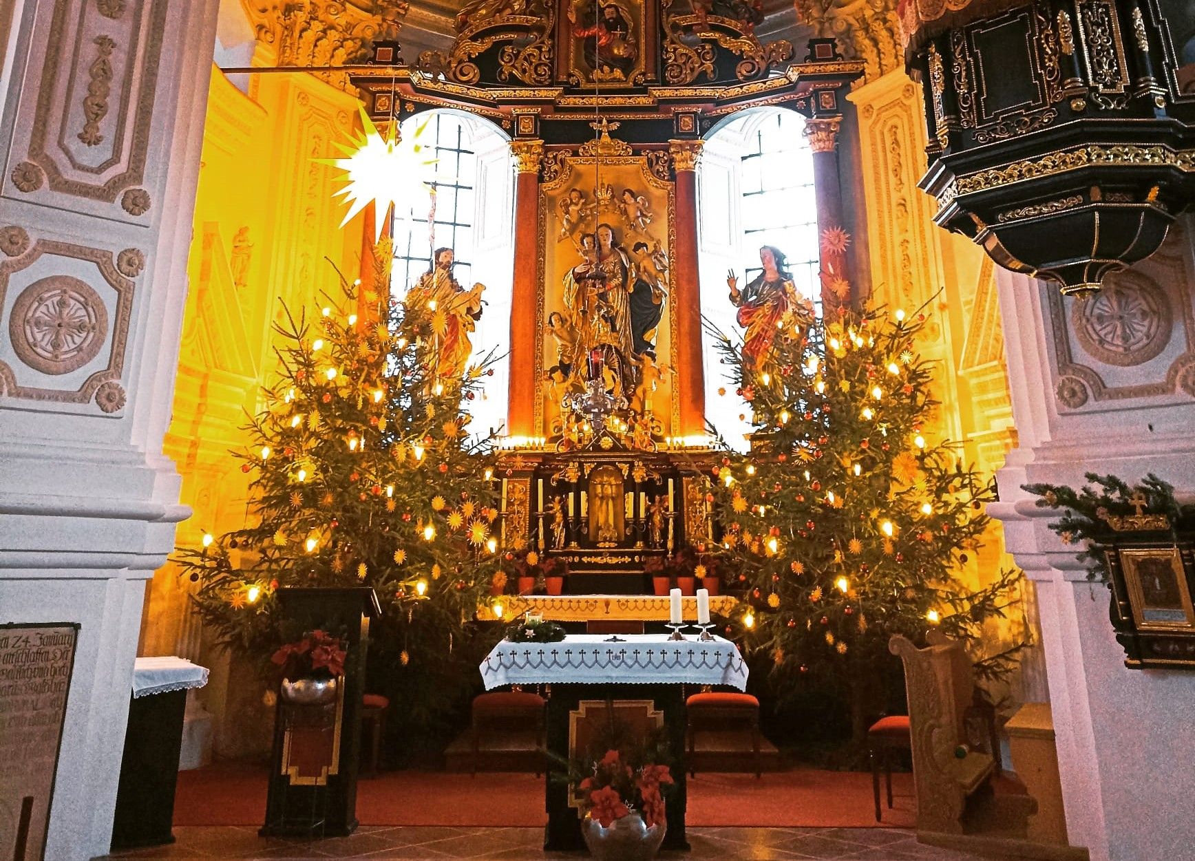 Blick in die Rundkirche mit Christbäumen in Westerndorf am Wasen in Rosenheim
