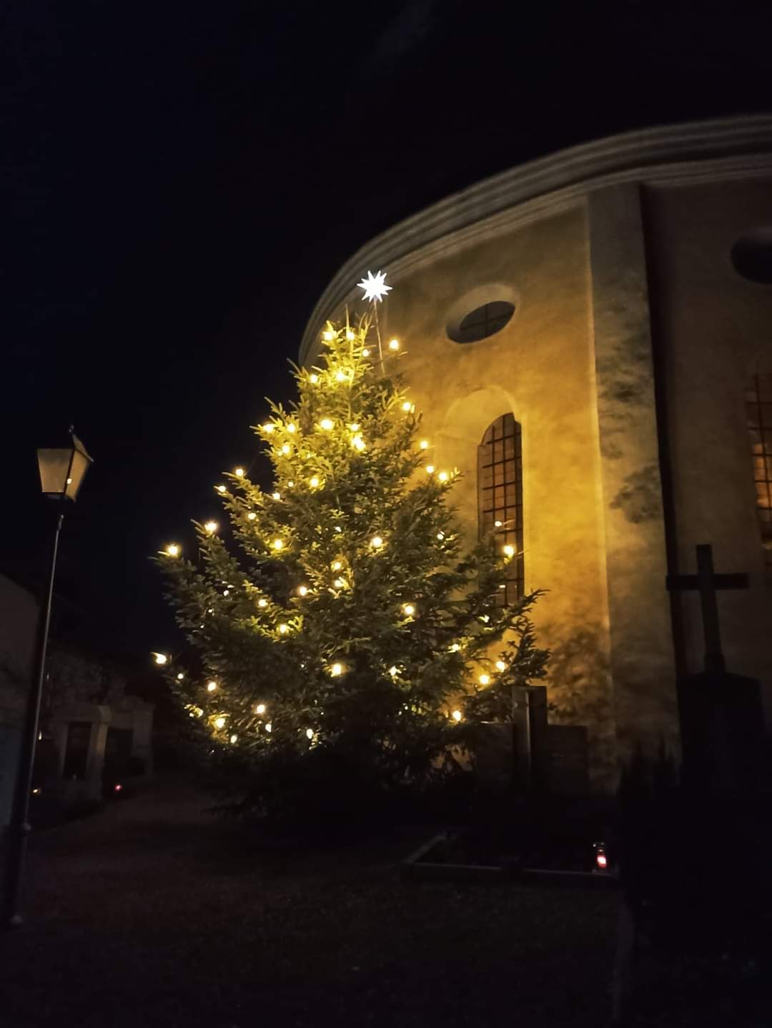 Blick auf beleuchteten Christbaum in der Nacht vor Kirche