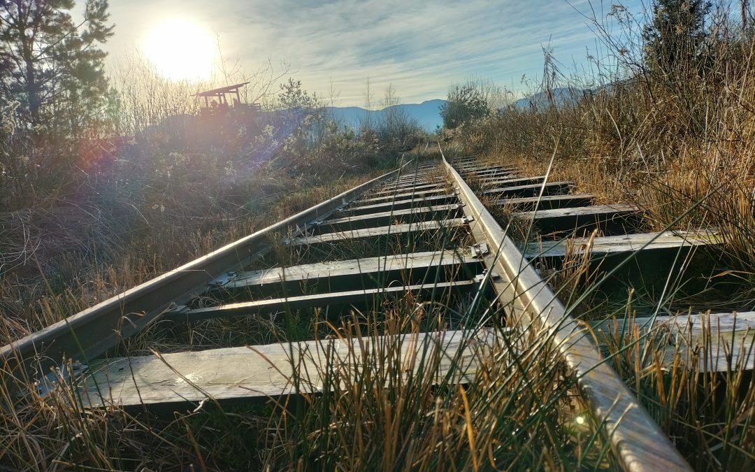 Sonnenschein lud zum Spaziergang ein