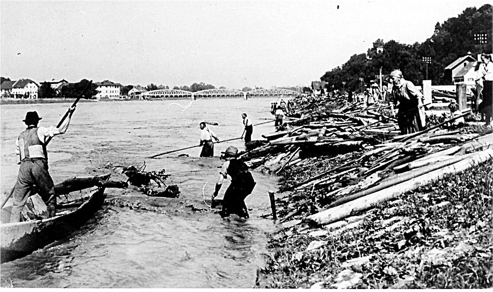 Menschen ziehen Holz vom Inn ans Land im Jahr 1910