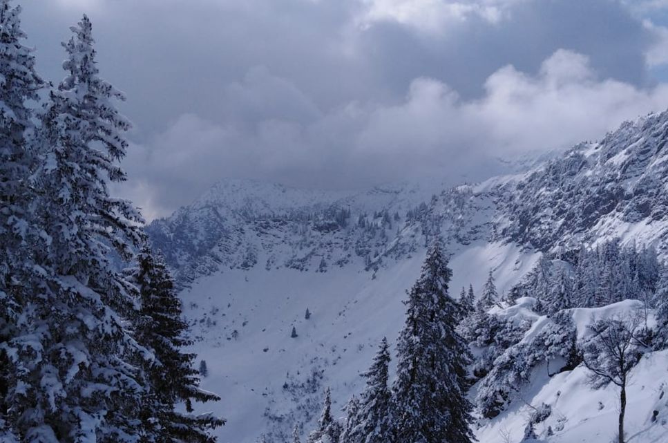 Blick in verschneite Bergwelt