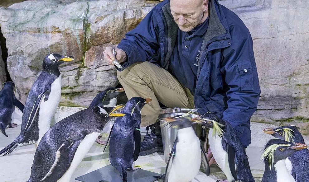 Inventur im Tierpark Hellabrunn