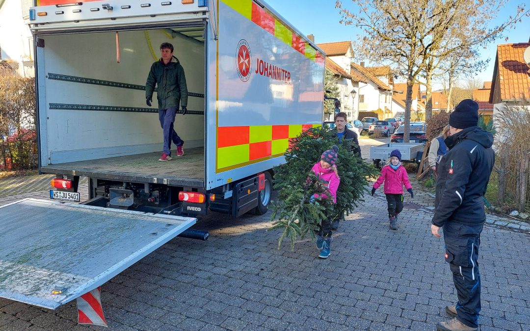 250 Christbäume eingesammelt