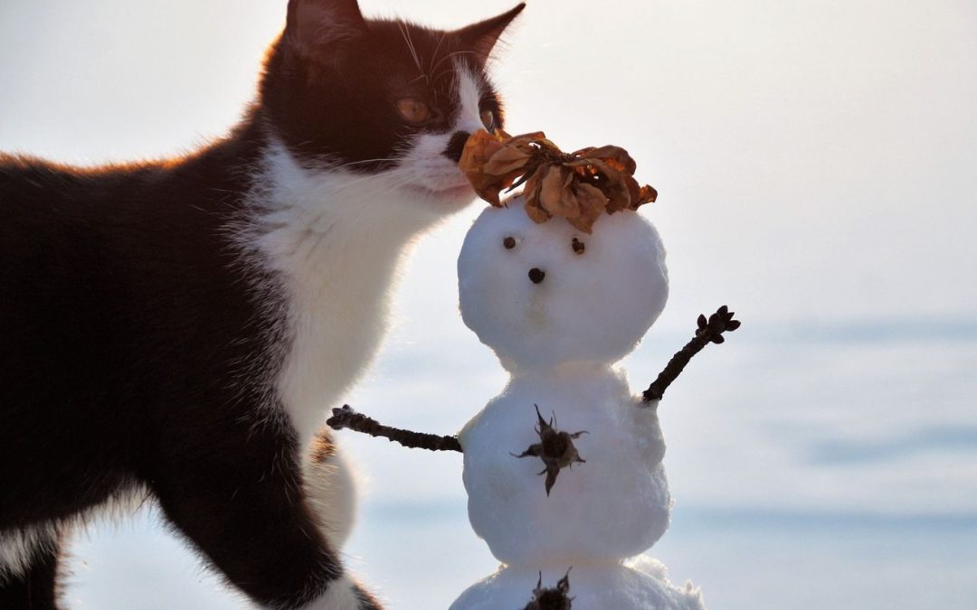 Schnee und Sturm möglich