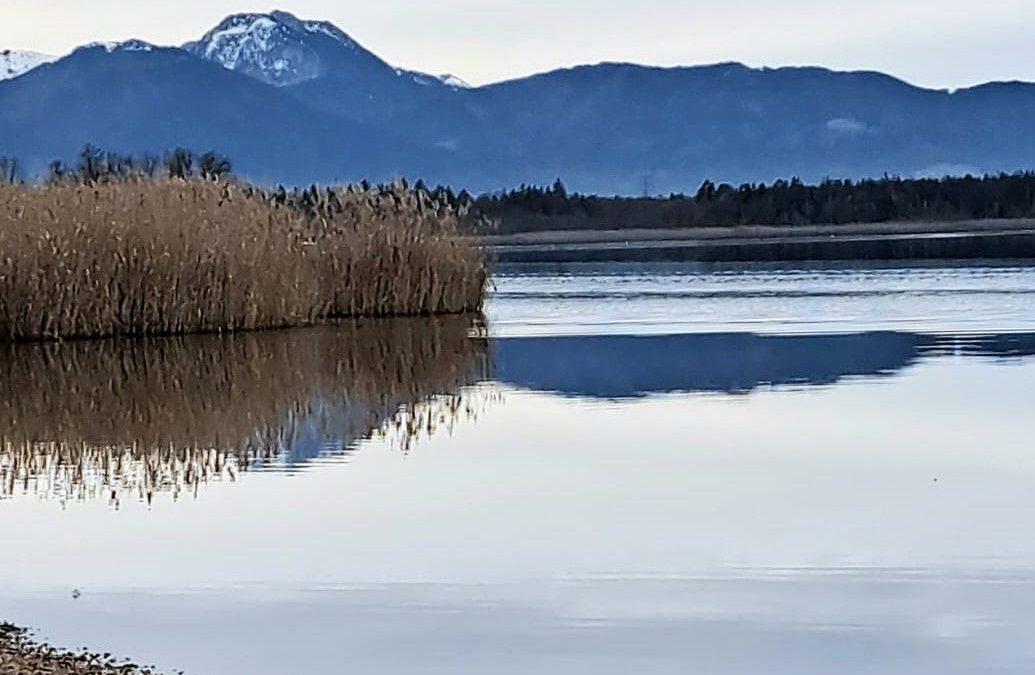 Staade Zeit am Simssee