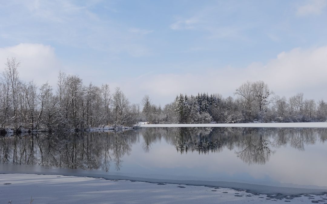 Perfekter Tag für Winter-Spaziergang