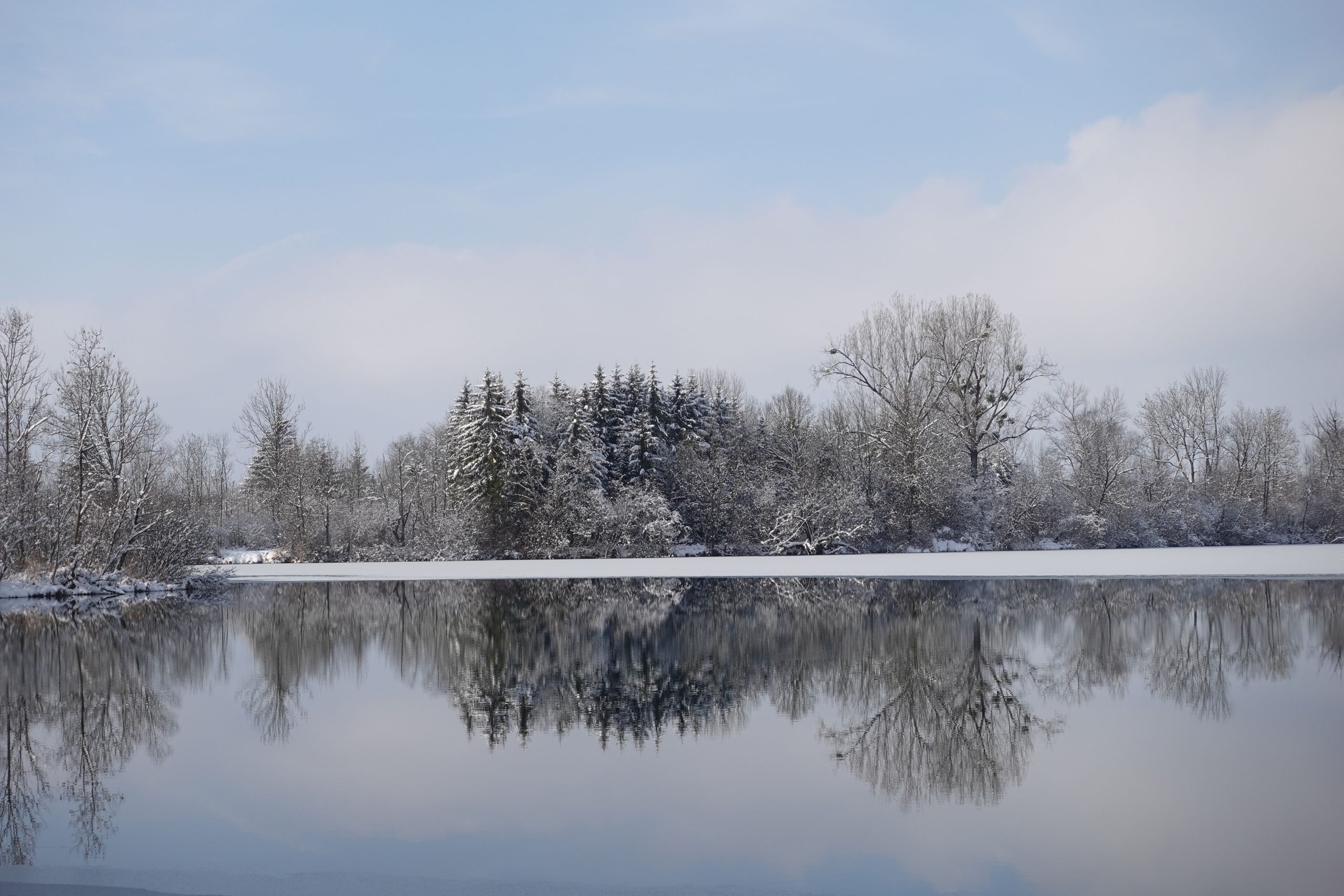 Blick auf winterlichen See, in dem sich Bäume spiegeln