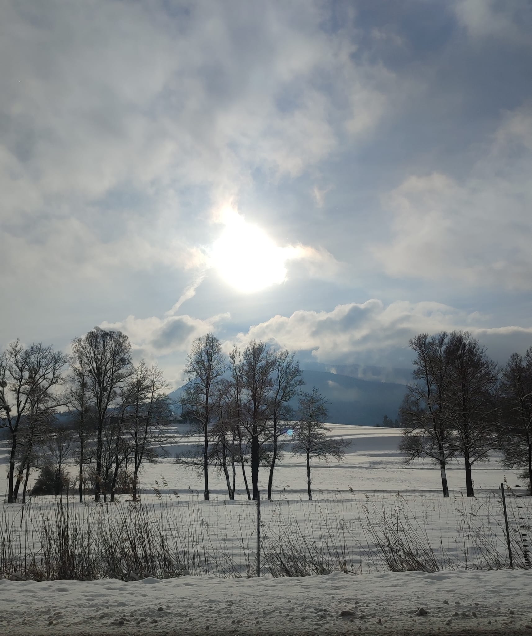 Blick auf schneebedeckte Landschaft mit einzelnen Laubbäumen und Sonne hinter Wolken