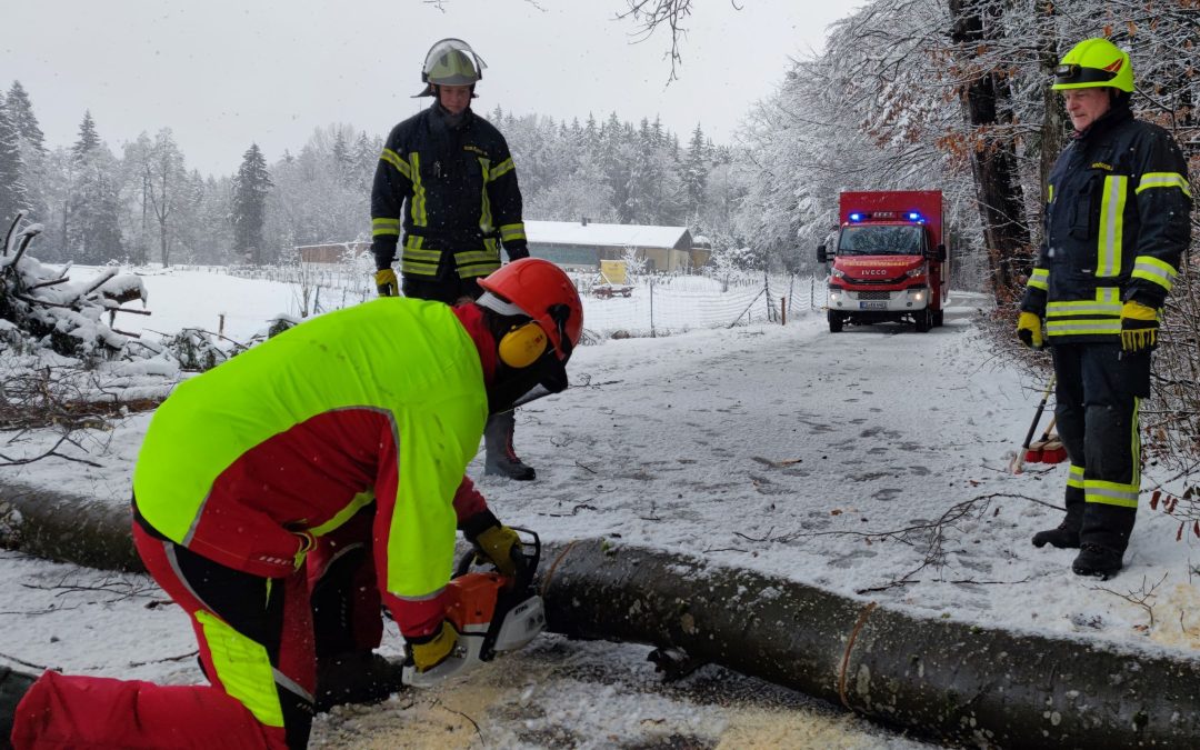 Nasser Neuschnee lässt Baum umstürzen