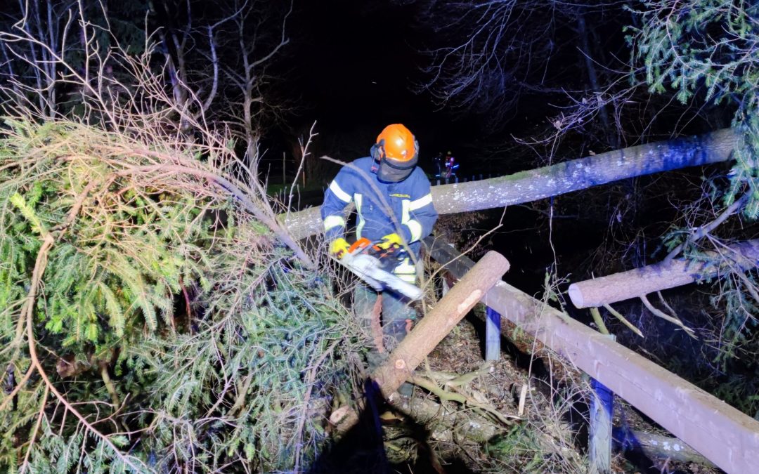 Umgestürzte Bäume forderten Feuerwehr