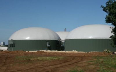 BBV und Naturland fordern bessere Rahmenbedingungen für Biogas