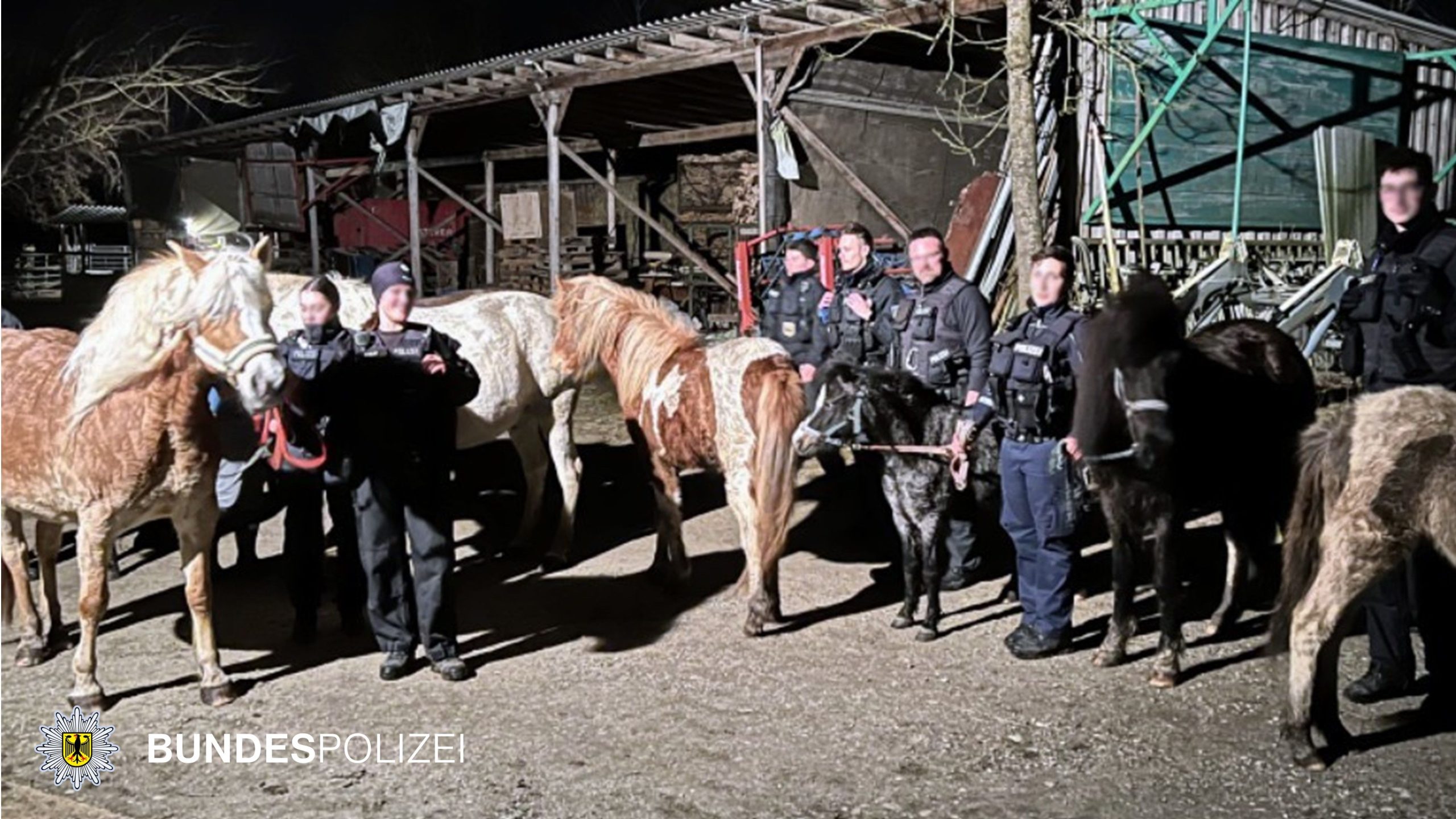 Einsatzkräfte der Bundespolizei mit den Pferden