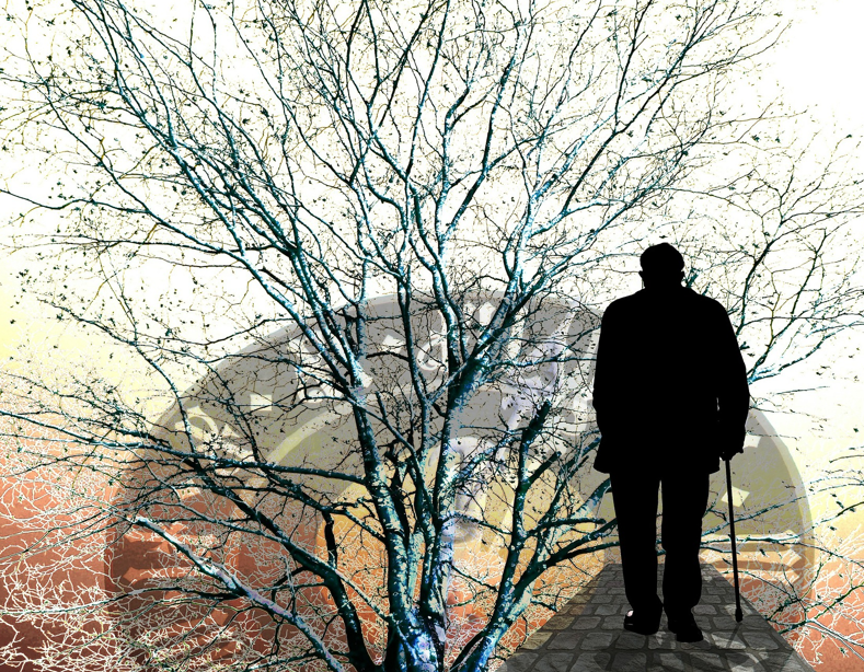 Schattenfigur - alter Mann geht an Baum mit vielen Ästen vorbei