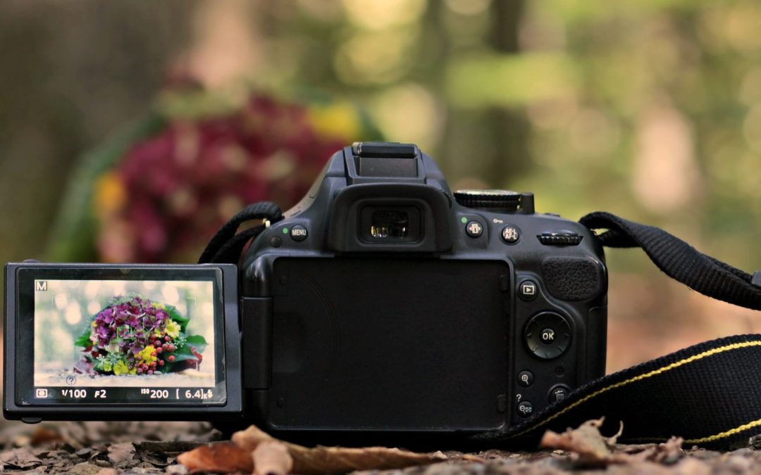 20 Jahre „Natur im Fokus“ – Fotowettbewerb für junge Natjurtalente startet neue Runde