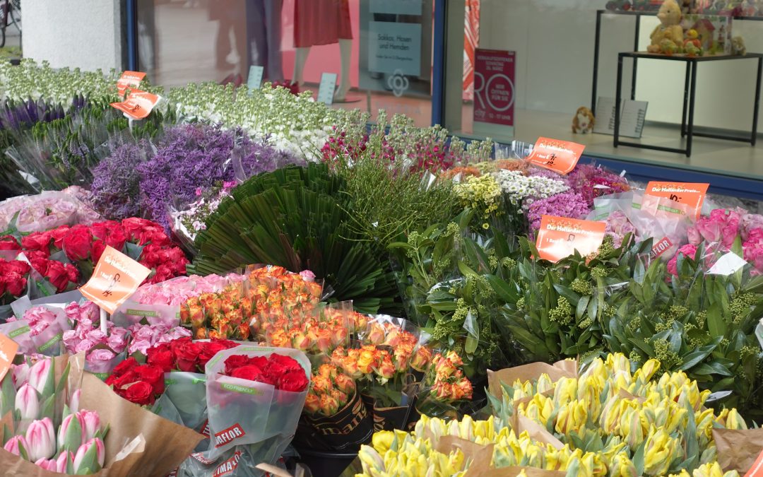 Frühlingsmarkt und verkaufsoffener Sonntag in Rosenheim