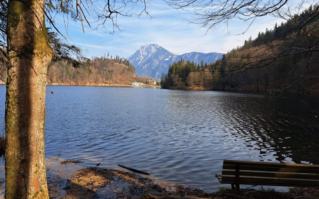 Ausflugstipp: Hechtsee