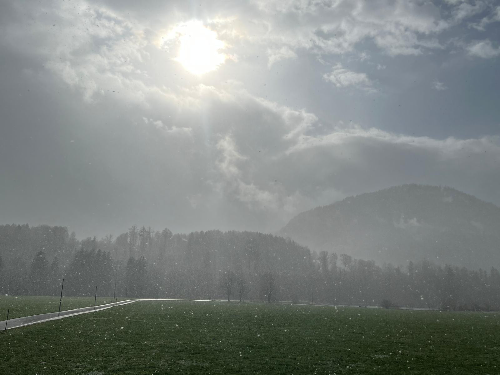 Blick zu Sonne hinter Nebel. Grüne Wiese und leichter Schneefall. Im Hintergrund deuten sich Bäume an