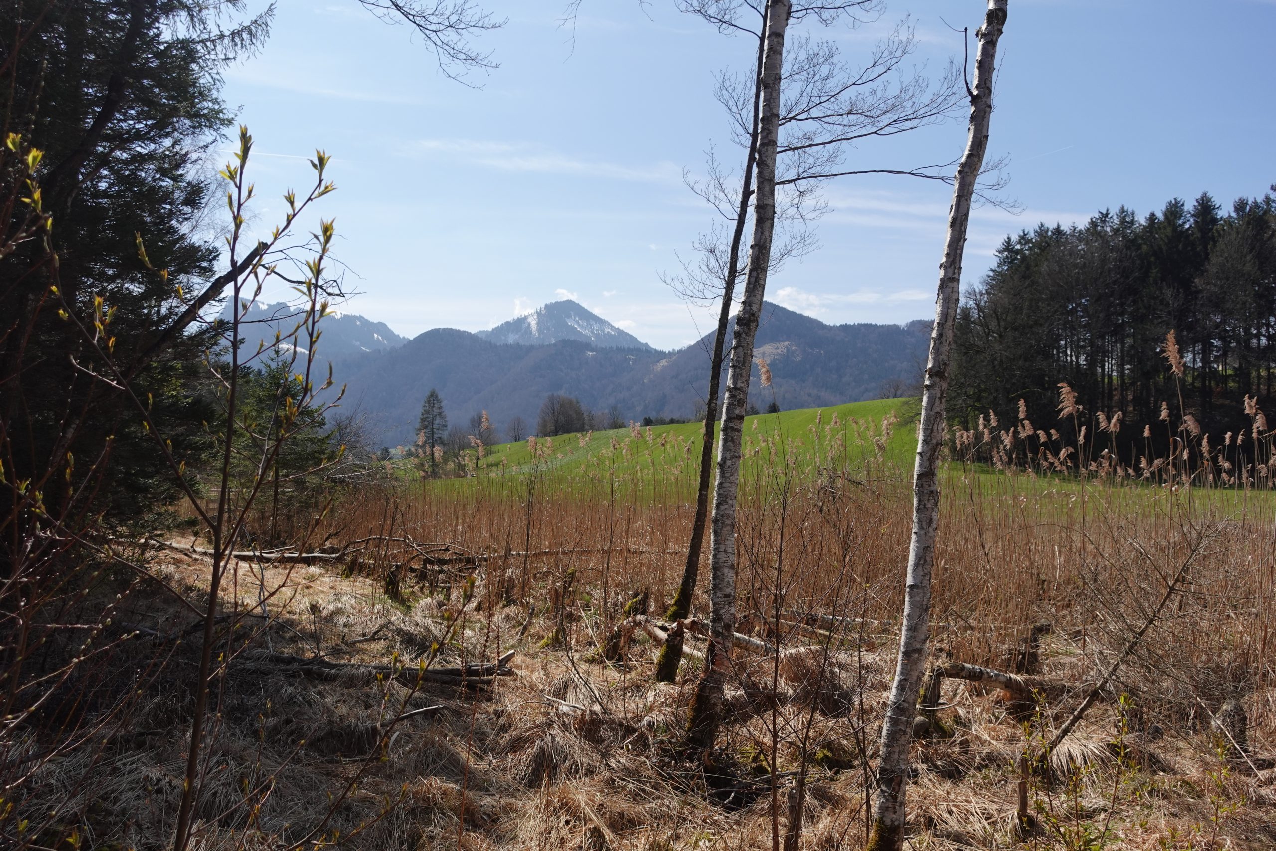 Am Bärnsee in Aschau im Chiemgau. Foto: Innpuls.me