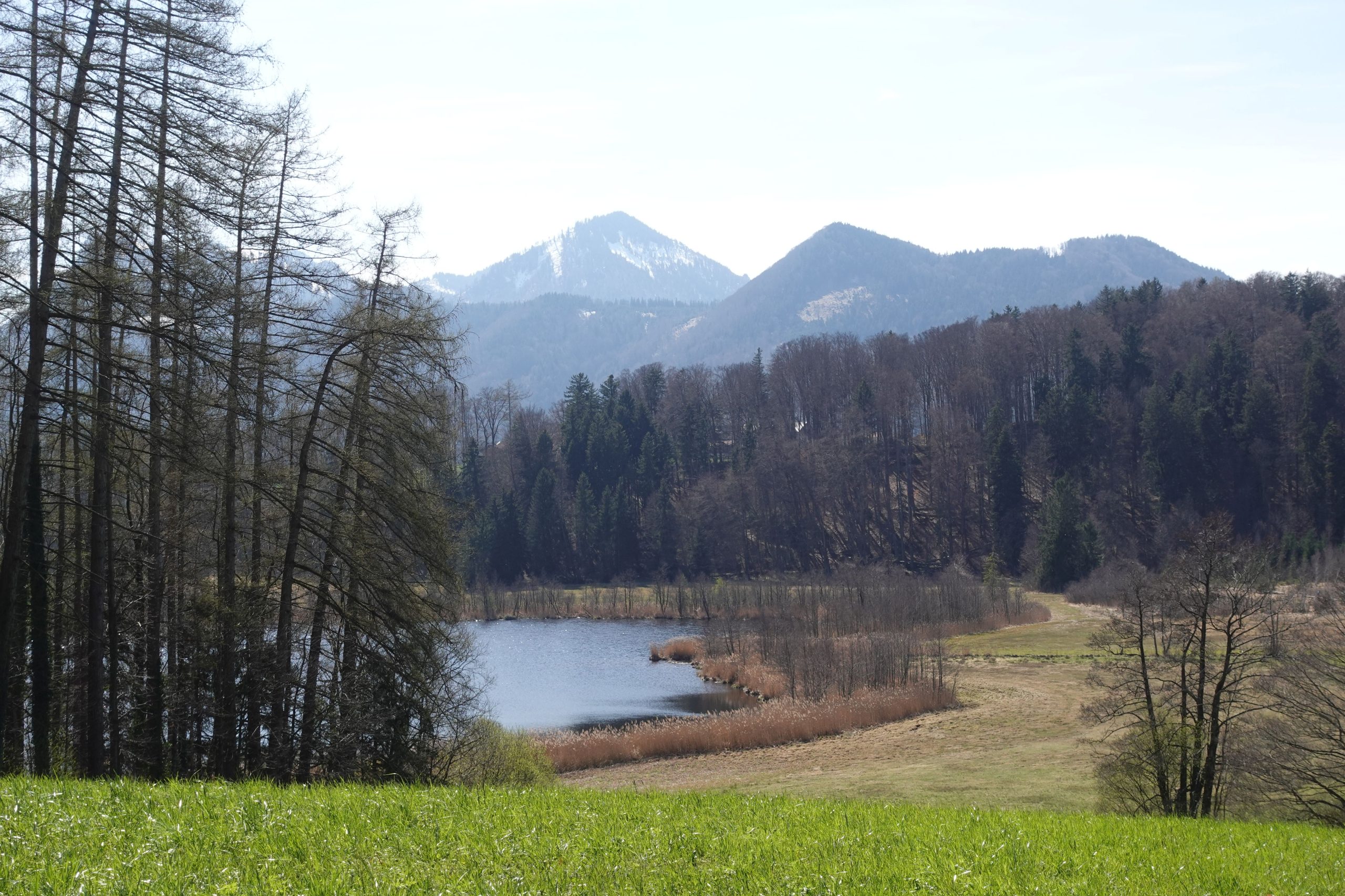 Bärnsee bei Aschau im Chiemgau. Foto: Wunsam