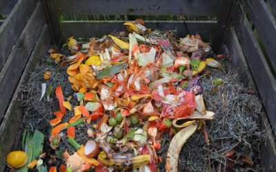 Biomüll in Rosenheim: Stadtverwaltung bewertet dezentrales Sammelsystem positiv