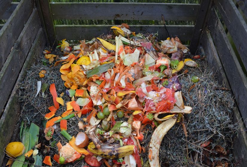 Biomüll auf Komposthaufen