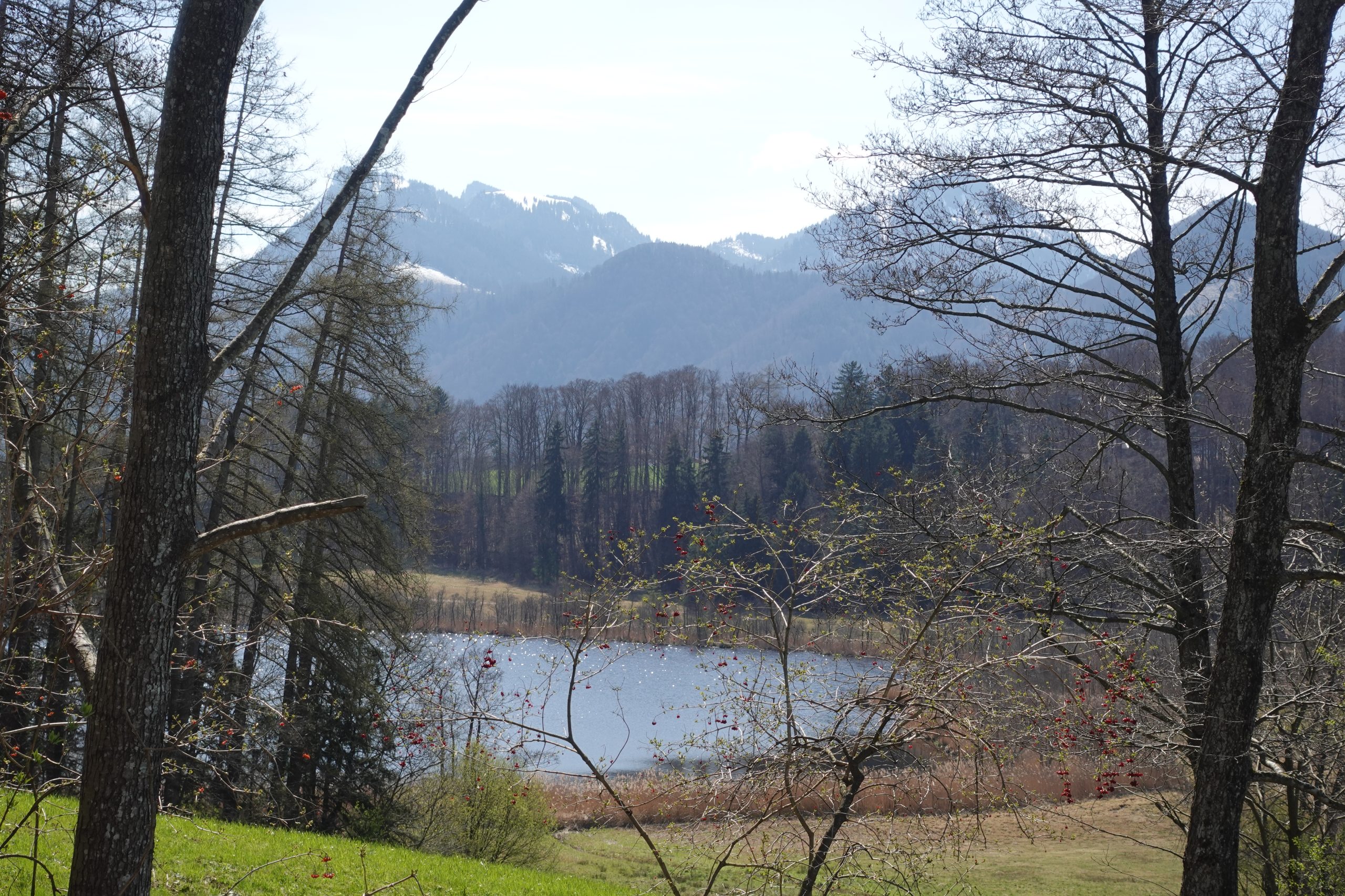 Blick zum Bärnsee in Aschau im Chiemgau. Foto: Innpuls.me