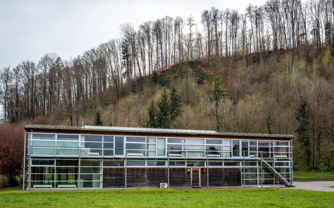 Neues Rathaus öffnet seine Pforten