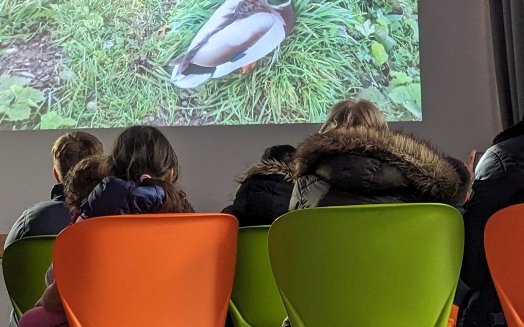 Endorferau aus Sicht der Jugendlichen