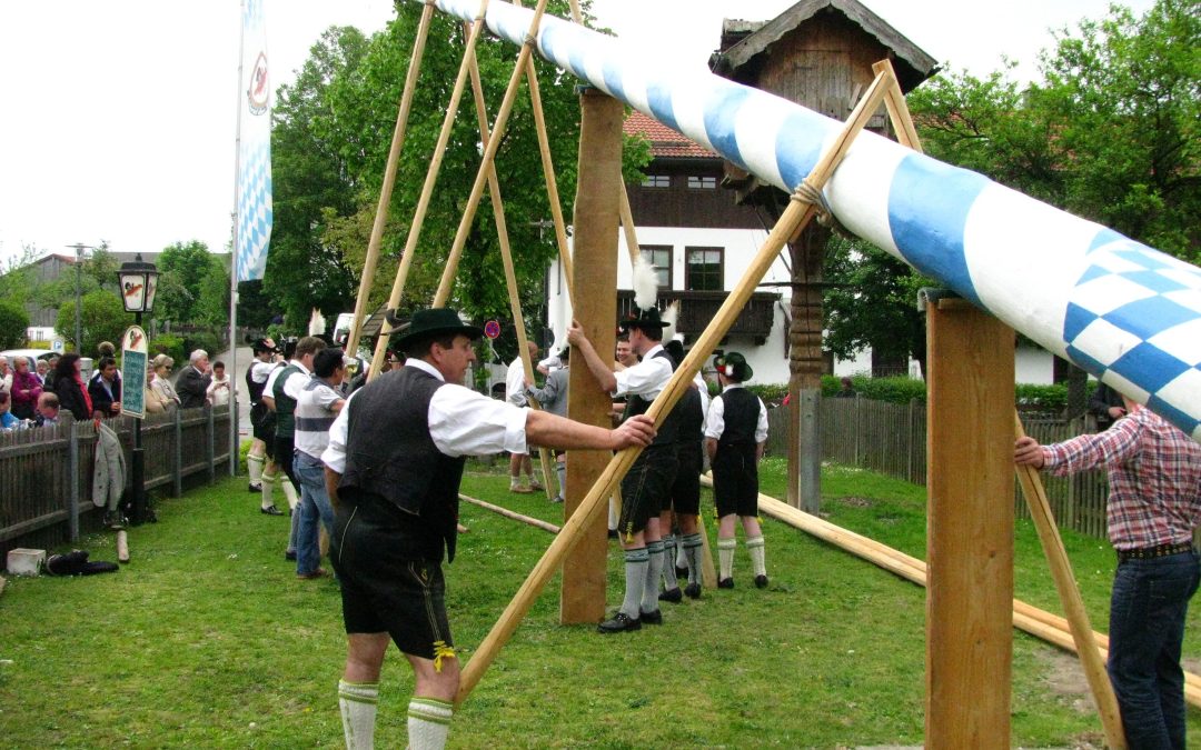 In Happing wird ein Maibaum aufgestellt