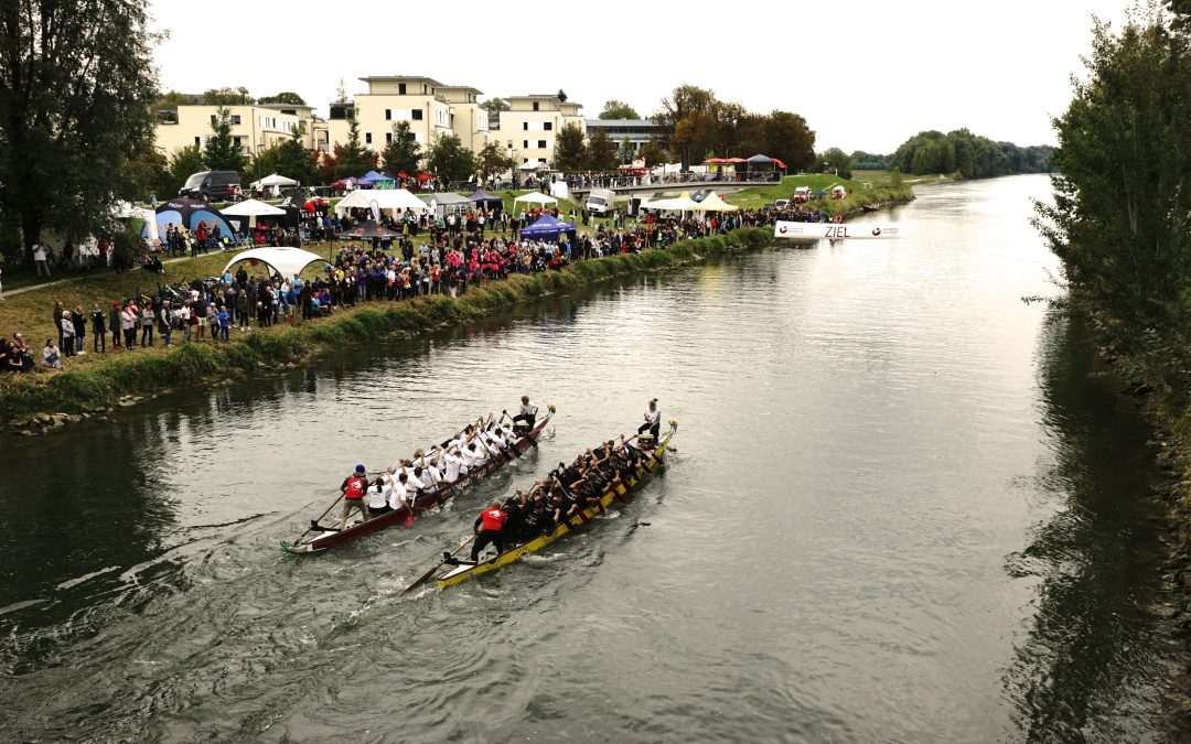 Die Drachen sind wieder los