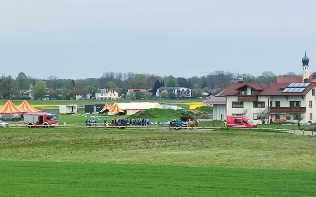 Maibaumaufstellen in der Stadt Rosenheim