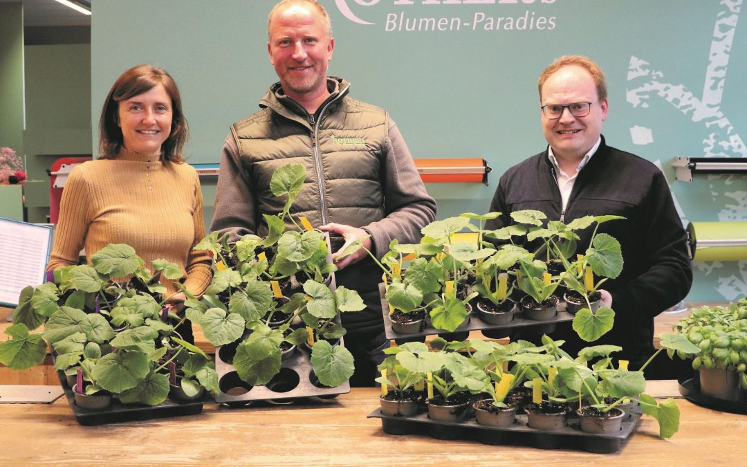 Kürbiswettbewerb in Prien
