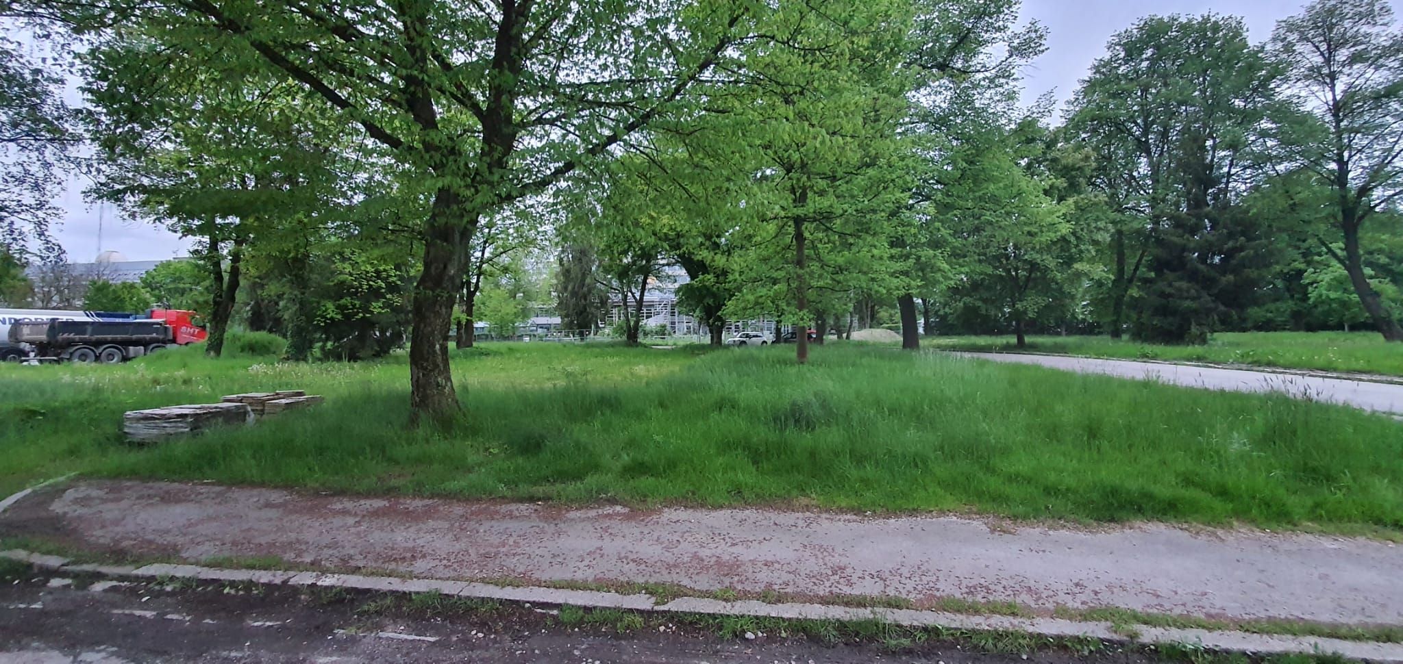 Blick auf das ehemalige Gelände der Bogensiedlung in Rosenheim mit den Bäumen. Foto: Ferdinand Staudhammer